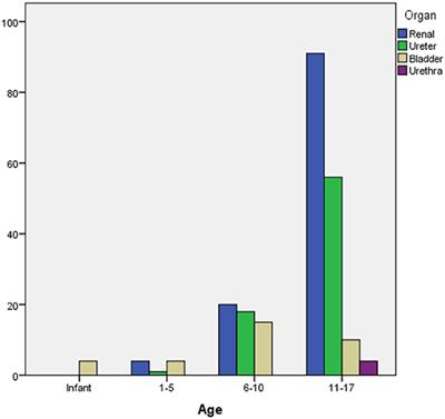 Clinical Features and Surgical Outcomes of the Children With Urolithiasis at a Tertiary Care Hospital: First Report From Somalia